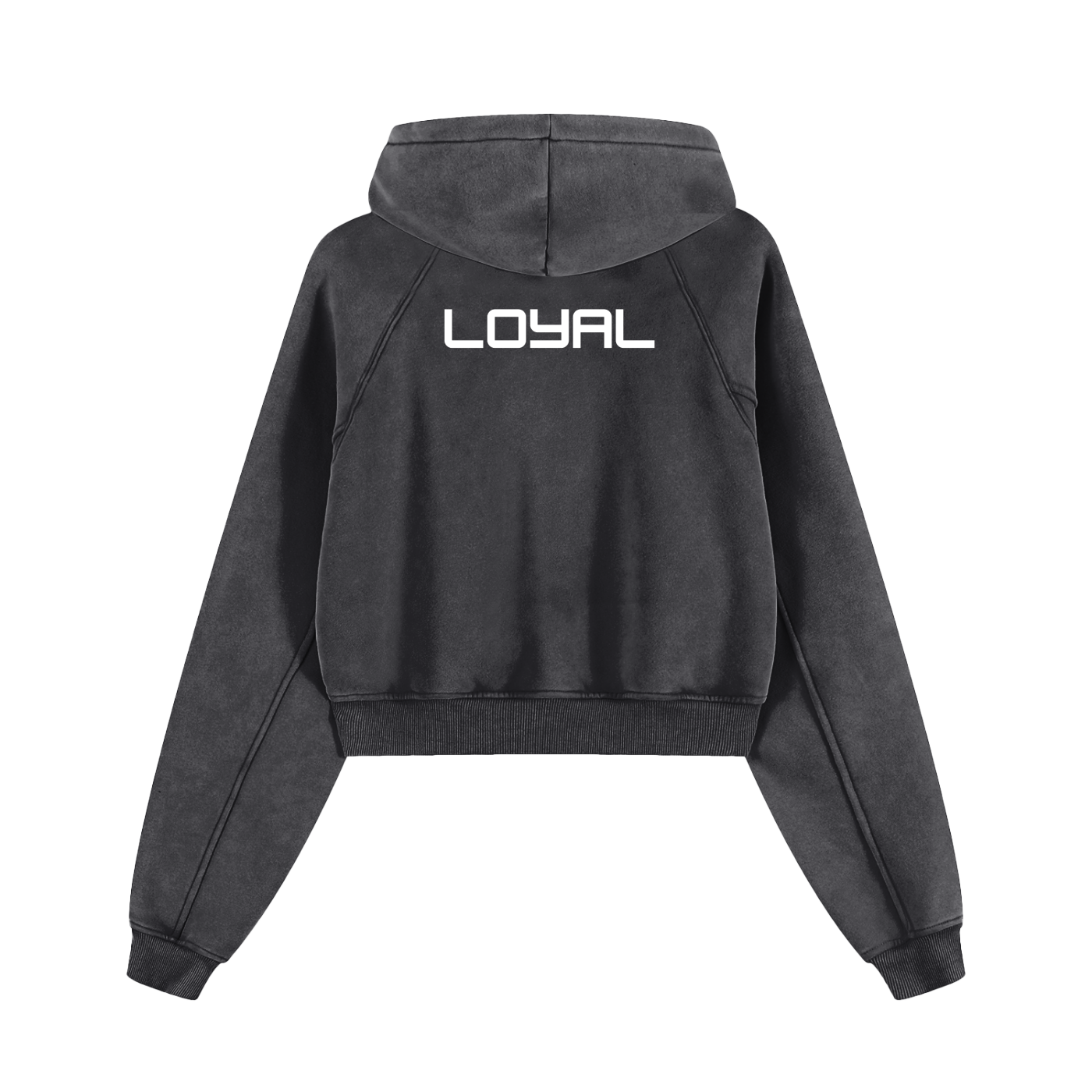Snow Washed Cropped Hoodie
